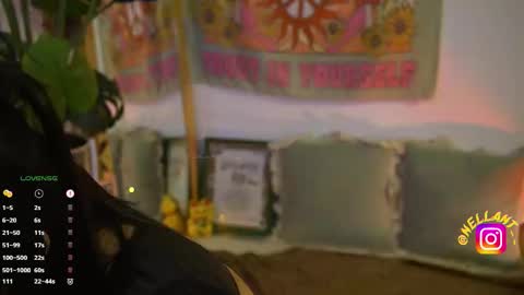 Nell. online show from November 8, 4:04 am