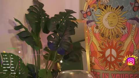 Nell. online show from February 6, 11:29 pm