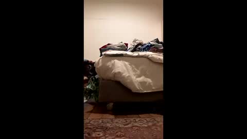 antonino85 online show from February 13, 8:34 pm