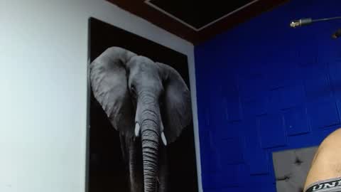 Apolo online show from March 9, 11:36 am