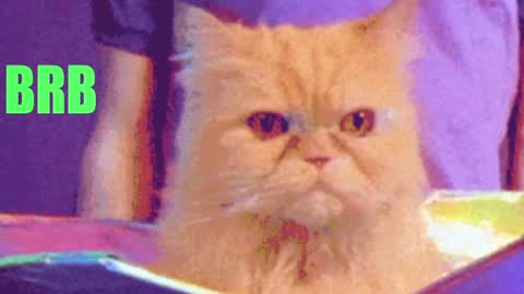 aprill_o_nill online show from April 17, 3:25 pm