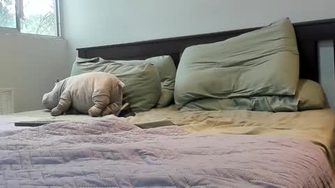 T. online show from April 12, 8:57 pm