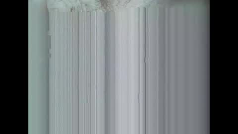 ardnov online show from February 2, 7:04 pm