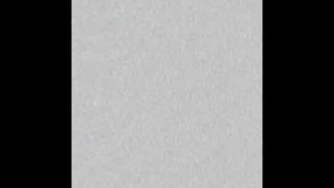 Arianna Collins online show from November 10, 11:35 am