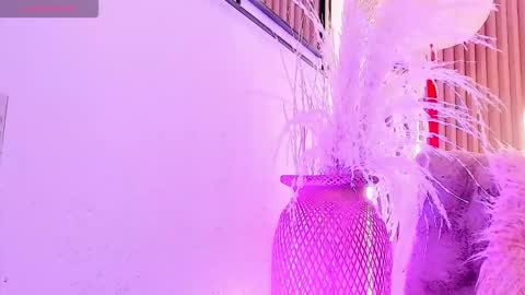 Ari  online show from January 13, 1:08 pm