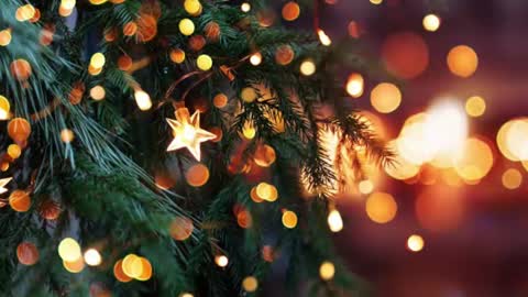 natra online show from December 23, 6:15 pm