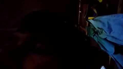 arvy95198 online show from October 12, 11:17 pm