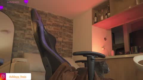 Ashley Fox online show from July 21, 1:51 am