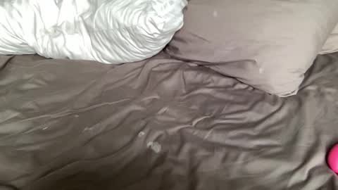 asiangirlandwhiteguy online show from September 18, 4:27 am