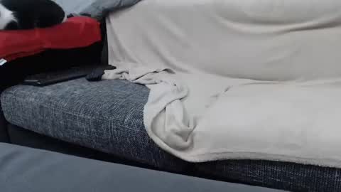 MARCO online show from January 16, 6:59 pm