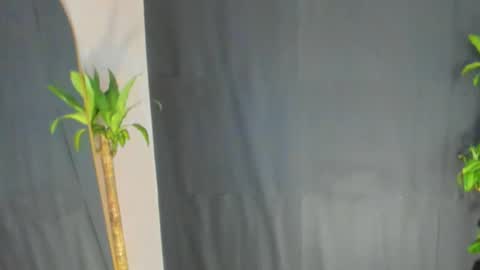 Audry online show from February 12, 10:35 pm