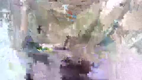 babymom1 online show from March 7, 8:33 pm