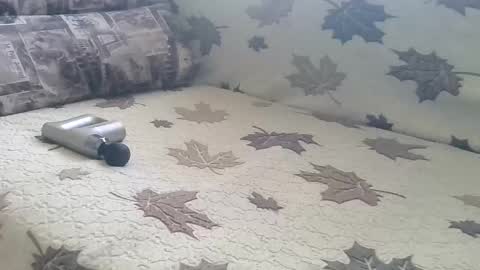 babymom1 online show from March 9, 2:21 pm