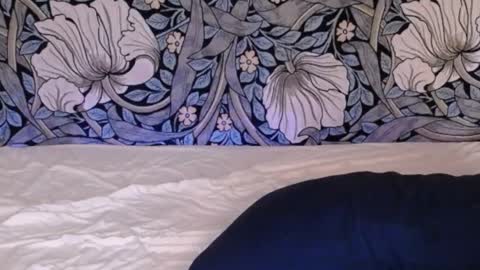 Ava online show from October 2, 3:05 am