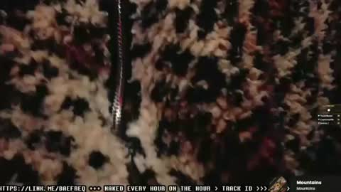 BaeFreq online show from June 26, 12:05 am