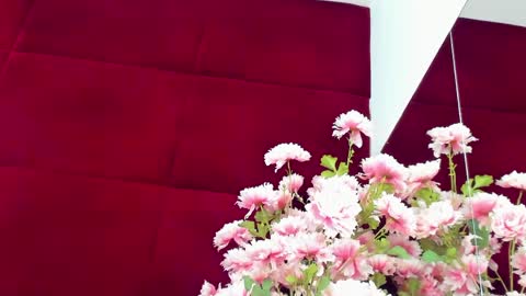 Bailey online show from March 29, 6:20 pm