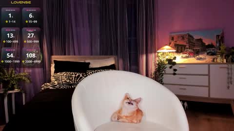 Allie online show from January 19, 10:36 am