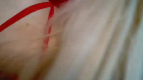 Barbi Bentley online show from October 31, 10:48 am