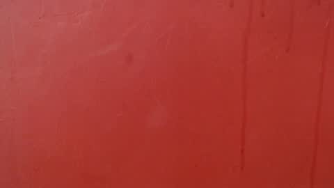 bayonette_black online show from November 29, 7:32 pm