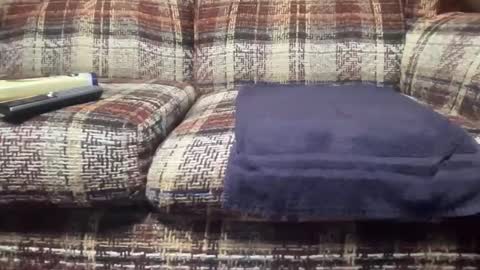 bbc3108 online show from January 12, 5:42 pm