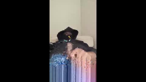 bbc870479 online show from January 13, 9:39 am