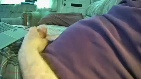 bcema2 online show from September 26, 5:43 pm