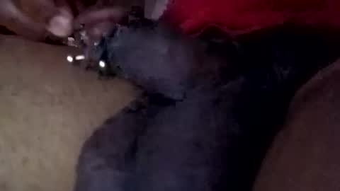 bcfalcon69 online show from April 27, 5:16 am