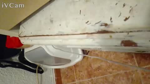 bectcockcb online show from January 16, 11:58 pm