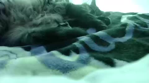 Beetee77 online show from October 18, 3:44 am