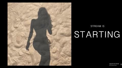 Bela -  - Next stream November 28th online show from February 25, 8:34 pm