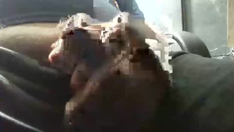 beninoam75 online show from November 1, 9:14 pm