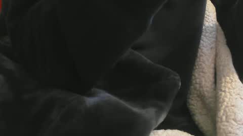 benx12123 online show from February 16, 6:21 pm