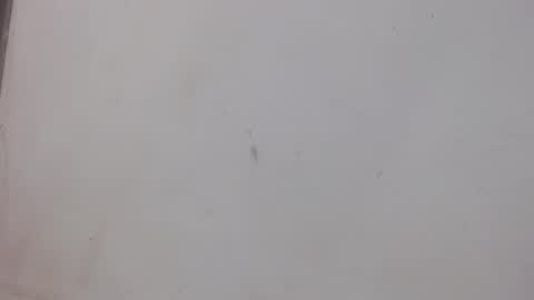 Bergon77 online show from February 1, 1:02 am