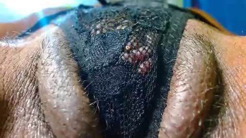 Bethany Wilson online show from November 29, 5:31 pm