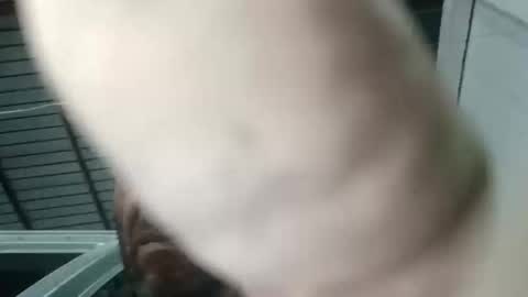 Cock arabic Authentic online show from November 14, 4:31 pm