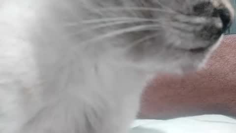 Snapshot of beuno3 chatting on October 18, 11:25 am beuno3 online show from October 18, 11:25 am