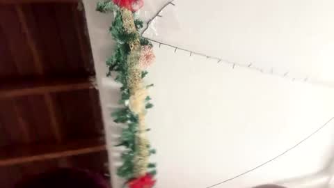 bianca and maxwell online show from December 15, 7:42 pm