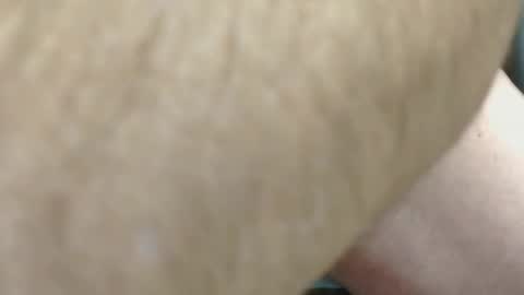 Bigass online show from November 26, 6:04 pm