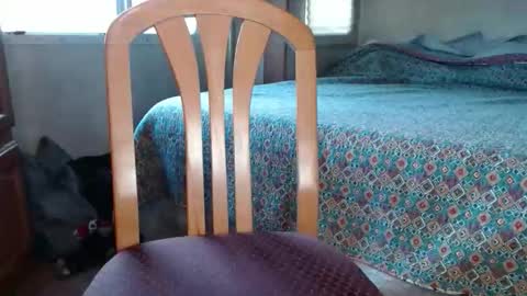 bigdickdaddy567130413 online show from February 20, 2:30 pm