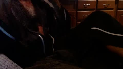 bigdickdaddy567130413 online show from July 26, 10:57 am