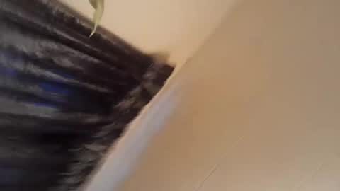 bigdmrp69 online show from January 9, 3:44 pm