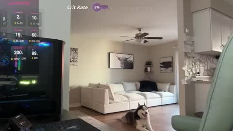 Nick Barker online show from October 12, 12:03 am