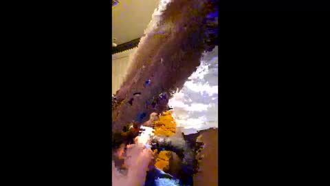 bigstickforyou501 online show from February 22, 8:40 am