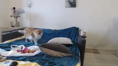 BigTwinsOmg online show from March 16, 6:50 am