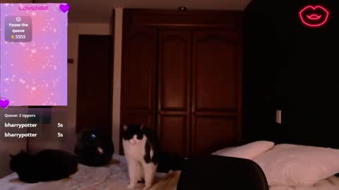 biigbooty_ online show from January 17, 4:33 am