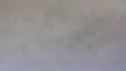 billmenow141 online show from December 19, 8:24 am