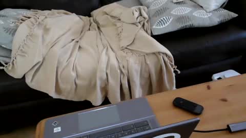 bindmedown online show from January 17, 10:55 am