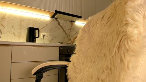 Karina online show from January 20, 7:36 am