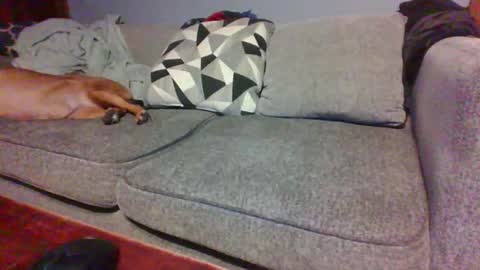 blaw_1321 online show from November 2, 6:13 am