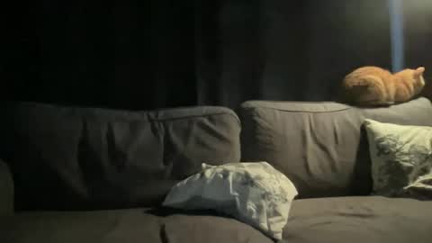 BlIdoL online show from November 24, 6:45 am